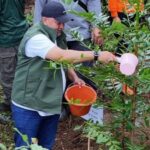 Bupati Bogor Realisasikan 156,44 Hektare Hutan Kota