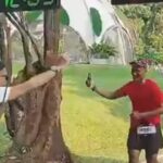 Sugoro Finardo Tuntaskan Nomor 100 Km di KRB 200